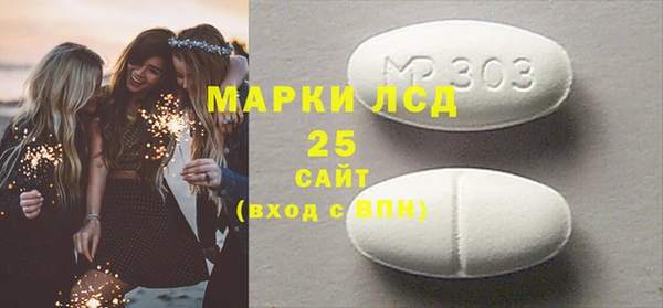 индика Нея