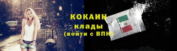 индика Нея