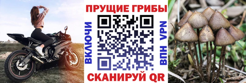 Галлюциногенные грибы Magic Shrooms  как найти наркотики  Скопин 