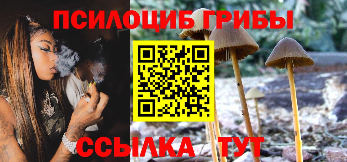 Галлюциногенные грибы Скопин