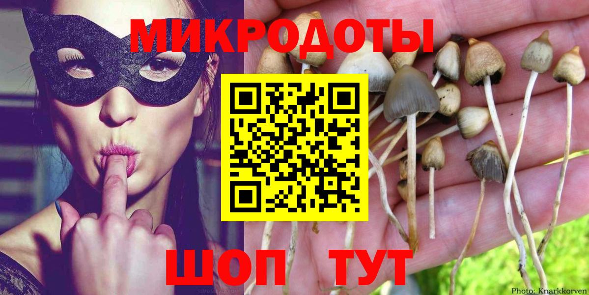 Псилоцибиновые грибы мухоморы Скопин