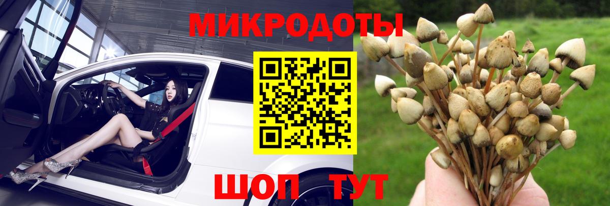Галлюциногенные грибы мицелий  Псилоцибиновые грибы мухоморы  где продают   Скопин  Вход с VPN 
